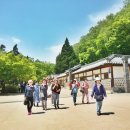 단종역사관 이미지