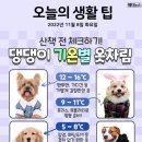 교대사거리
