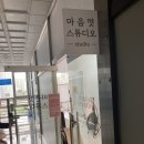 스위트윅스
