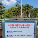 마루아라 하우스 이미지