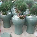 밀알농원 이미지