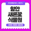 함안 새론꽃식물원 꽃배달