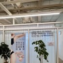 석전동(경남은행본점방면) | 마산석전동필라테스 보니따필라테스 운동 맛집 그룹 체험권 후기