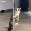 세이폴스튜디오 이미지