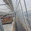 파란들농장 | 3일 만에 잡초 사라짐? 하이로드 제초제 솔직 사용 후기