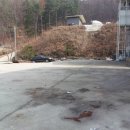 오대종공인중개사사무소 이미지