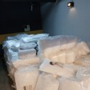 스테이옹치 이미지