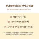 반려동물 아로마 테라피 자격증 이미지