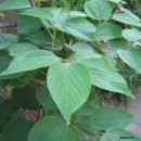 정원농장 이미지