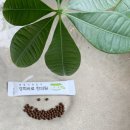 일침한의원 이미지