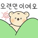 샤인스테이 이미지