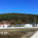 동리 농장 이미지