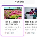 스러움 농장 티스토리