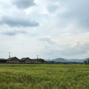 경한의원 | 대추밭백한의원 진료후기