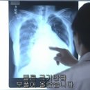 명지오션시티동물병원 이미지