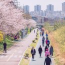 불광천5 이미지