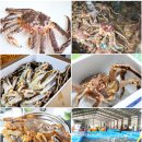 (주)해동활어 | 킹크랩 가격, 대게 시세 딱2일간 연말전 파격 특가! 이번주 금 &amp; 토 날짜 지정 가능