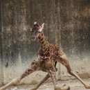 우3동행정복지센터 맞은편 | [구리/수택동] 구리 수택동 헬스장 추천! 그룹운동 후기- 핏모션