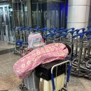 이글골프스쿨 | 바틱에어 말레이시아 후기｜쿠알라룸푸르 스케줄·좌석·가격 총정리 (10살 아이와 이동)