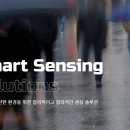 그린에스앤씨 이미지