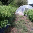 시골별장 이미지