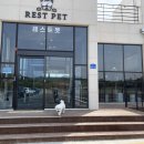 레스트펫카페테리아