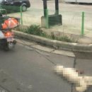 백구오토바이