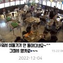 리프패럿 이미지