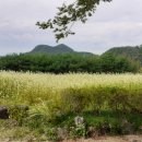 두원마을 이미지