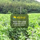 해맑음농장 이미지