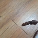 서한KD 네이버블로그