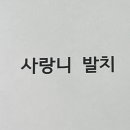 금수목장 이미지