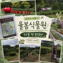태허정로 | 율봄식물원 볼거리 많을까 입장료 주차 소요시간 솔직후기 경기 광주 가볼만한곳