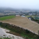 평창 수항리사지 이미지