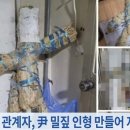 이재명 "부모님 묘소에 흑주술·저주…능욕에 죄송할 따름" 이미지