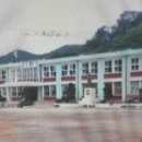 쌍치초등학교 이미지