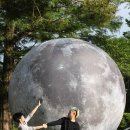 2019 수원연극축제 이미지