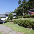 펜션 숲 이미지