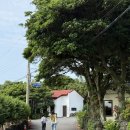 난산리-9 | 성산 아침식사 난산리다방 아침 일찍 문열어서 조와