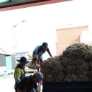 의성공설재래시장 이미지