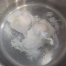 [평택 고덕 아이랑 요리교실] 에그 베네딕트 수업 후기