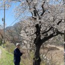 송계계곡민박 이미지