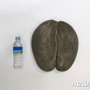 메르 이미지