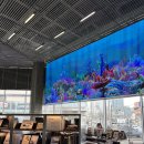 모터클럽자동차공업사 | 현대 모터스튜디오 서울/ 현대자동차 캐스퍼 일렉트릭 시승 후기 &amp; 캐스퍼 스튜디오 송파에서 캐스퍼...