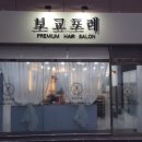 보교포레 이미지