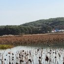 차부떡방앗간 이미지