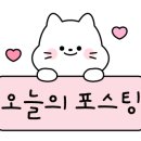 캣플헤븐 천안불당점 이미지