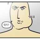 올리볼렌 이미지