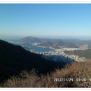 선자