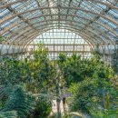 SKY KIDS POOL 이미지